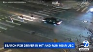 LA police search for driver involved in hit-and-run near USC that left pedestrian seriously injured; $25,000 reward offered