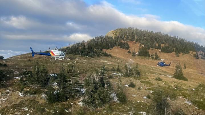 B.C. hikers in stable condition after being attacked by grizzly bear
