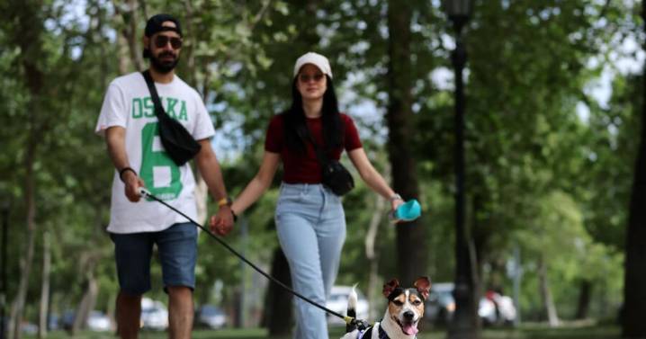 Calor de verano: qué días y en qué comunas habrá más de 30 °C en la Región Metropolitana