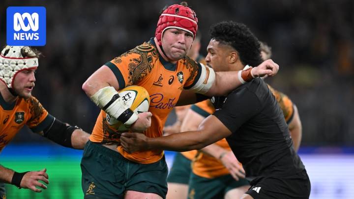 Rugby Championship scrapped for 2026 due to Test calendar squeeze