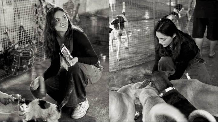 Saiyaara Star Aneet Padda Visits Animal Shelter, Shares Pics From Her Day With Rescued Strays