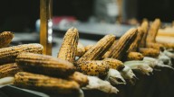 Receta para hacer elotes tipo Monterrey: el antojito regio más famoso