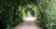 The spookiest 'ghost sighting' locations in Devon and Cornwall