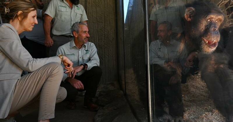 'Once in a century human': Jane Goodall's Aussie mark