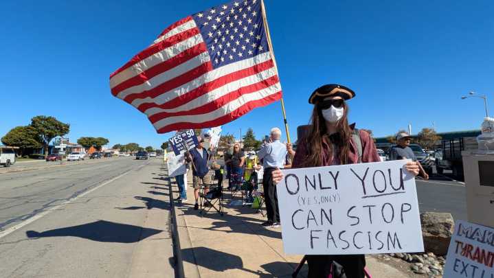 Hundreds of 'No Kings' rallies take place across California