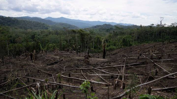 As Amazon's 'flying rivers' weaken with tree loss, scientists warn of worsening droughts