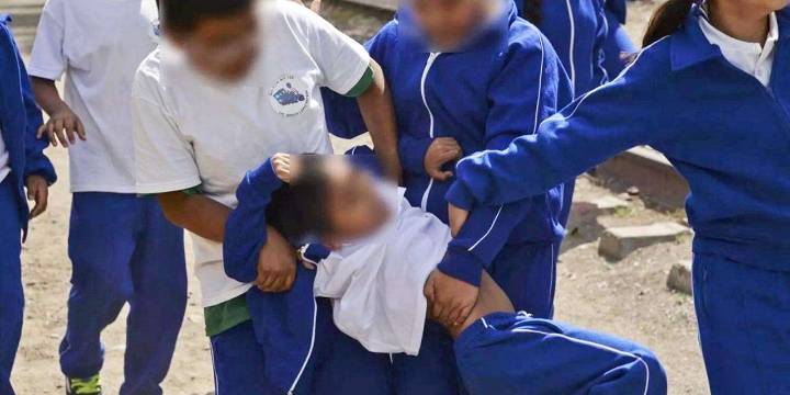 Alertan sobre las consecuencias del acoso escolar