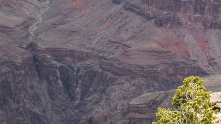2 teen girls caught in flash flood rescued from hiking trail