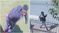 Police seek public's help in Salisbury shooting probe
