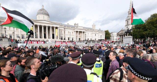 UK Pro-Palestinian Activists Protest Days After Synagogue Terror Attack