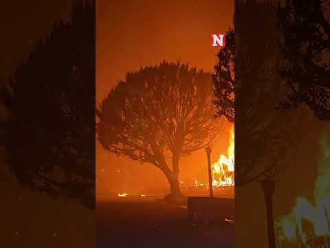 Palisades Fire Arson Suspect Arrested This Week In Crime