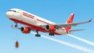 Air India crew hang cockroach 'until death'? Dubai-bound flight incident goes viral