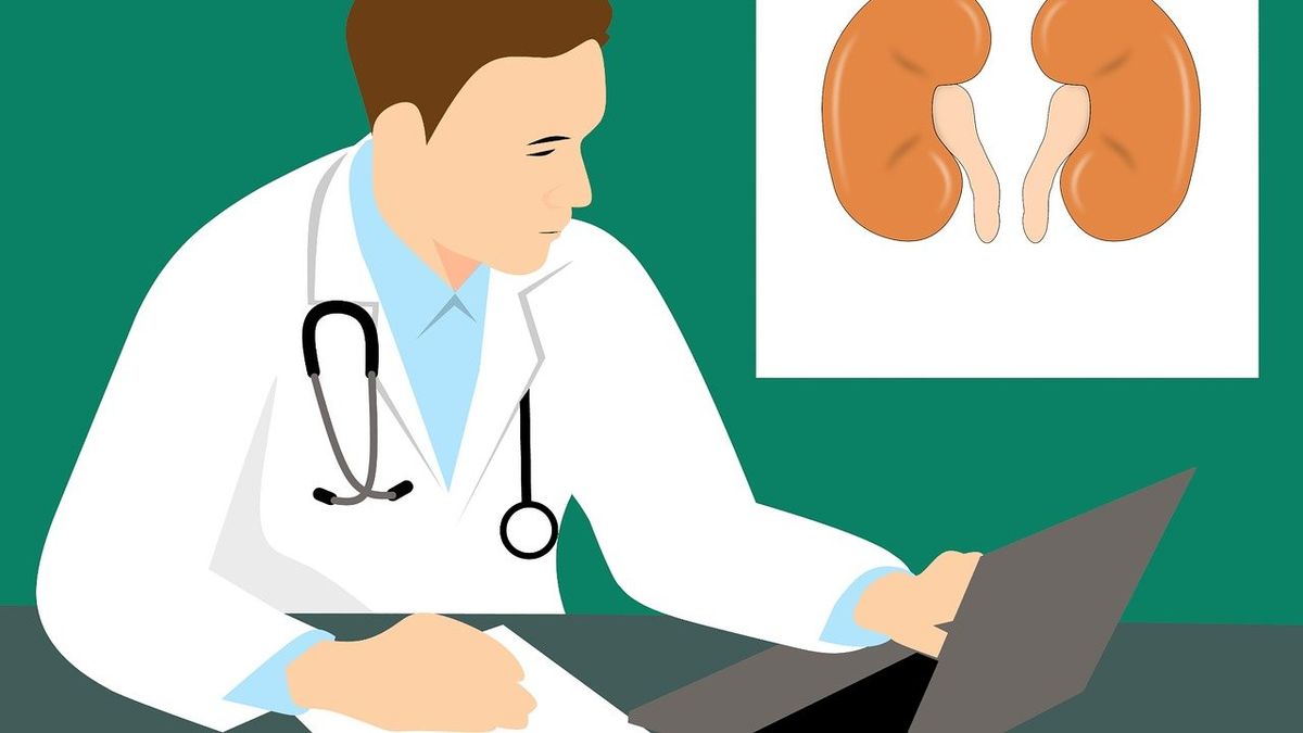 Acciones para el cuidado de la salud renal