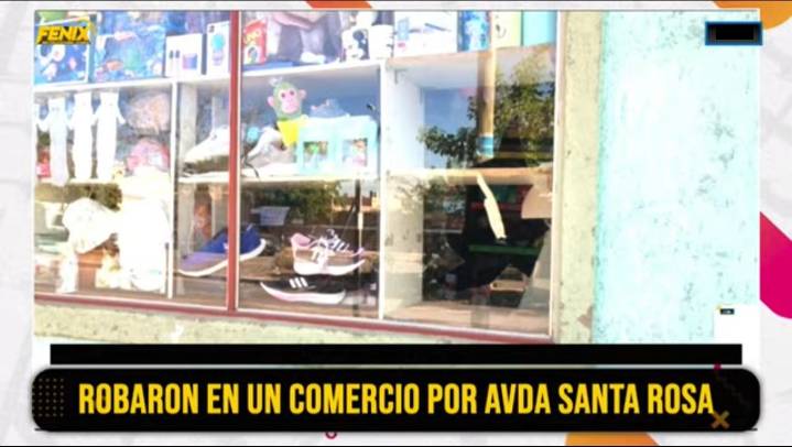 “El Chavo” robó en un comercio de zona sur y fue detenido