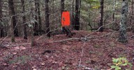 Sandwich Residents Deserve A Say In Gunters Lane Proposal