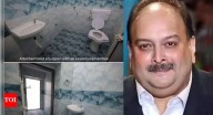 TV, fully-equipped toilet, more of a boutique hotel than jail: Photos show swish cell awaiting Mehul Choksi at Mumbai's Arthur Road