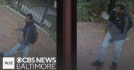 Police search for identity of man in connection to alleged assault, attempted rape Saturday