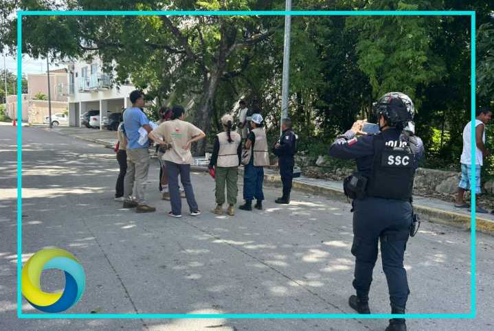 Rescatan a venado en la colonia Forjadores de Playa del Carmen