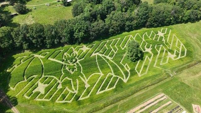 7 New Hampshire corn mazes to explore this fall