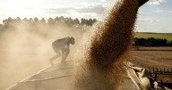 Gobierno de Milei envía señales al agro tras ruidos con productores por retenciones