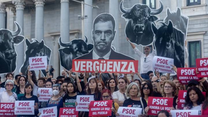 Sumar arremete contra el PSOE por no apoyar la iniciativa para acabar con el blindaje legal de la tauromaquia