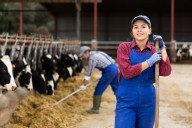 Three ways to make the UK’s food system more resilient – according to new report by 150 experts