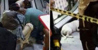 Video: Perrito quedó atrapado en las escaleras eléctricas de un centro comercial