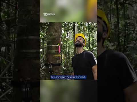 Scientists Build Climate Time Machine In The Amazon