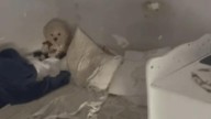 Sorocaba, Sao Paulo: Six-year-old girl freed after spending whole life locked in dark bedroom