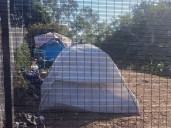 Lemon Grove closes homeless encampment, moves 30 people into stable housing
