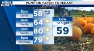 Dry, sunny weather set the stage for a perfect pumpkin patch visit