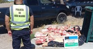 Secuestraron 1000 kilos de carne en Catriel por mal estado, traslado irregular y faena clandestina