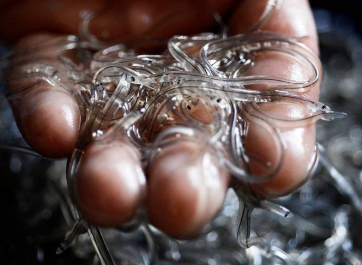 Waldoboro eel operation for sale as part of bankruptcy reorganization