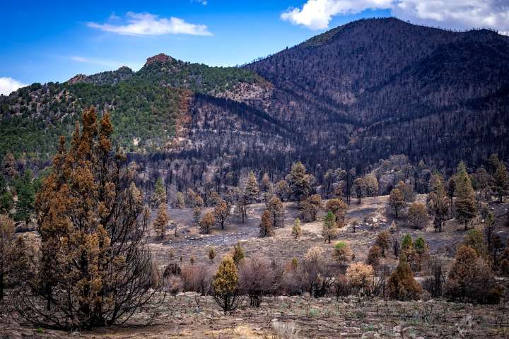 Pine Valley friday flooding, Utah remains in flood watch through Saturday