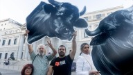 El Congreso impide que la tauromaquia deje de ser patrimonio cultural, con la abstención del PSOE