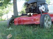 Why it makes sense to cut the grass short at the end of the season