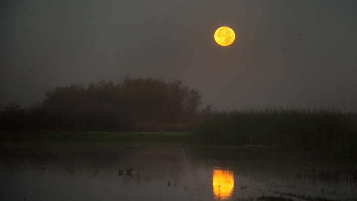 A supermoon is coming, California. Here's when to see it