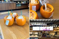 Customers are bringing pumpkins to Starbucks in place of a cup in 'annoying' new trend