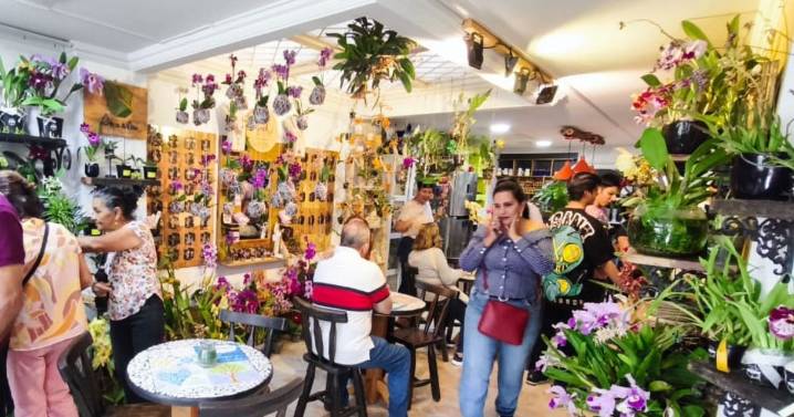 Orquídeas en la Plazuela: una exposición para celebrar y cuidar las orquídeas de Santander