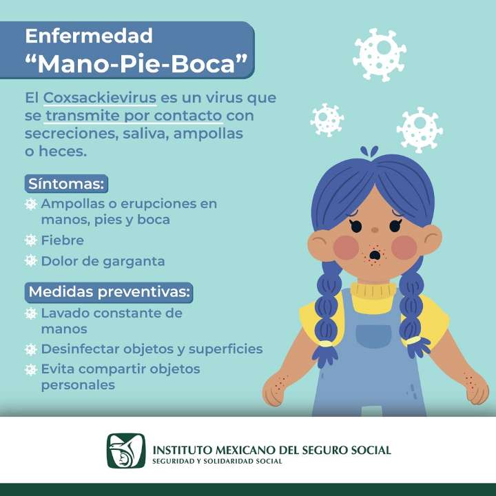 Refuerza IMSS Hidalgo medidas preventivas ante casos de infección por virus Coxsackie