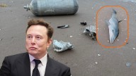 Restos de basura espacial afectan a la fauna marina de Tamaulipas