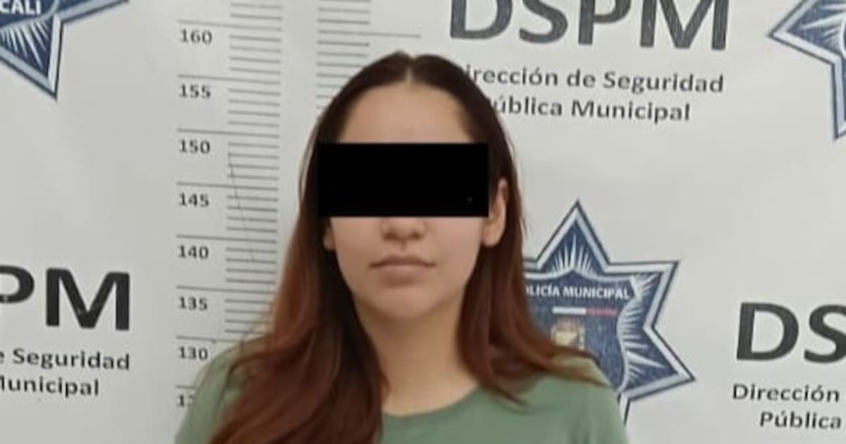 Joven detenida por agredir a la dueña del perro que mordió a su mamá