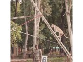 Over 150 Indian breed dogs deployed at borders, anti