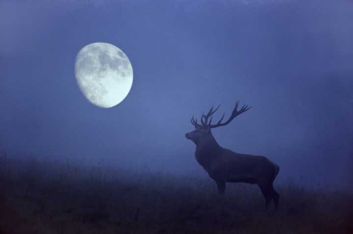 How the full moons got their names, including tomorrow's rare Harvest supermoon