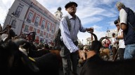 Miles de ovejas y cabras recorren el centro de Madrid con sus pastores durante la Fiesta de la Trashumancia