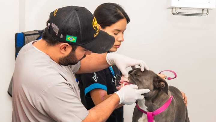 ¿Tiene mascota en Cali? Esto es lo que debe conocer sobre el servicio de urgencias y emergencias que tiene el Centro de Bienestar Animal