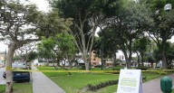En solo 1 año y medio, se han reportado hasta 105 muertes de perros por envenenamiento en parques de 8 distritos de Lima