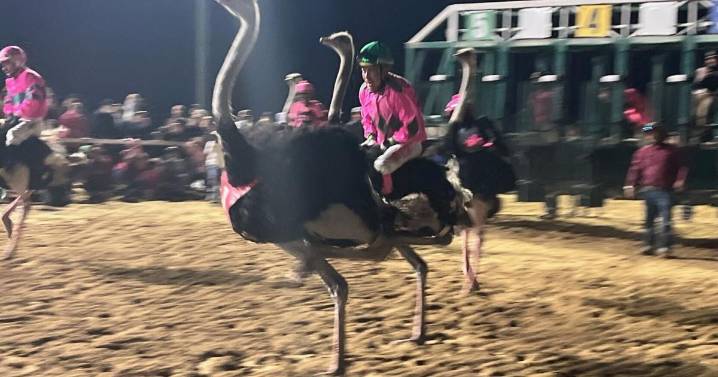 ‘Stampede for a Cause’ brings fun to Charles Town