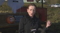 Surrey mayor challenger Linda Annis unveils first council candidates