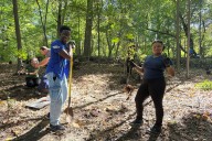 Hundreds of Native Trees Added to Brooklyn's Prospect Park